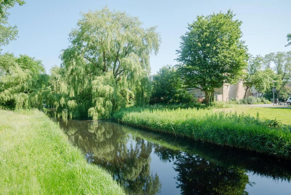 Cityhouse Alkmaar Eksteriør bilde